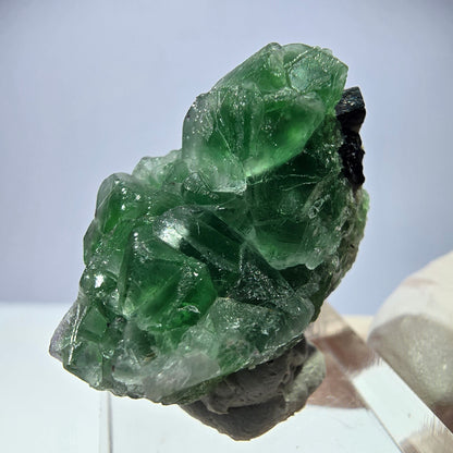 Cube de fluorite fantôme, tourmaline Schorl, Erongo, Namibie, 35 x 23 x 23 mm 
