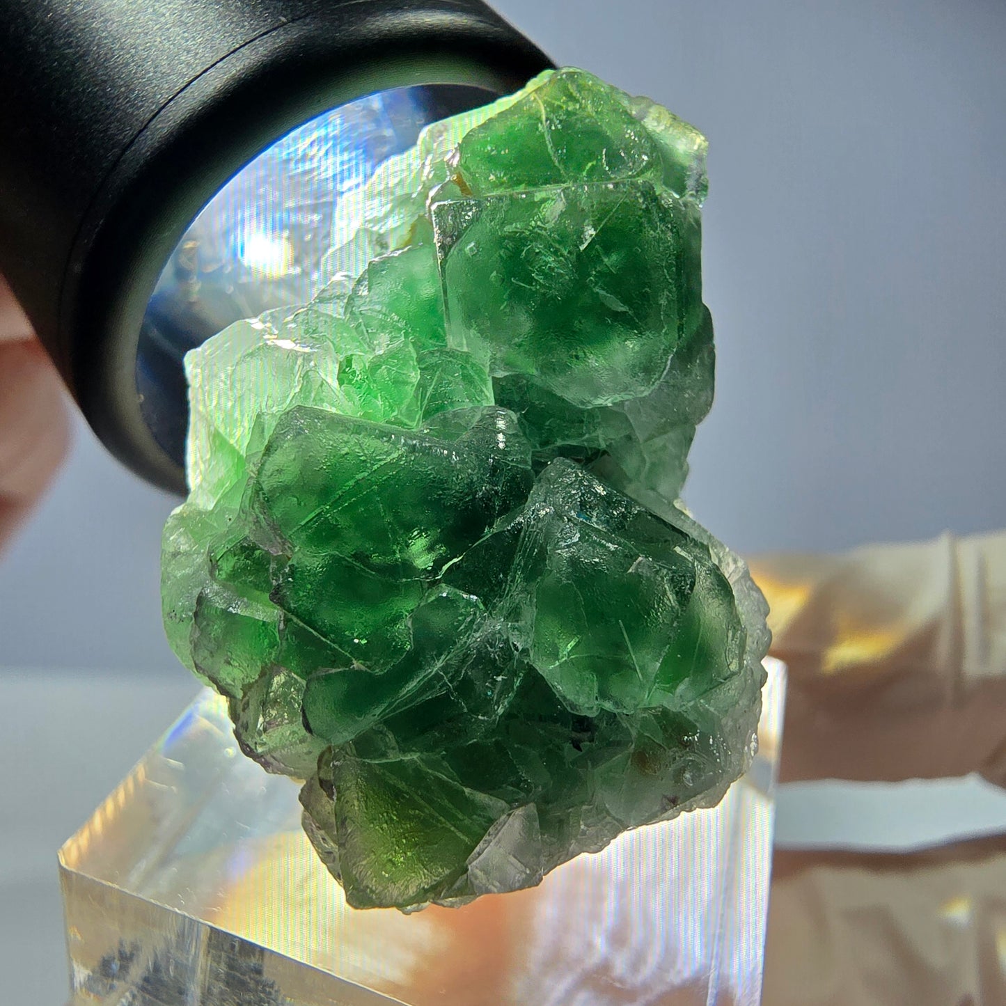 Cube de fluorite fantôme, tourmaline Schorl, Erongo, Namibie, 35 x 23 x 23 mm 