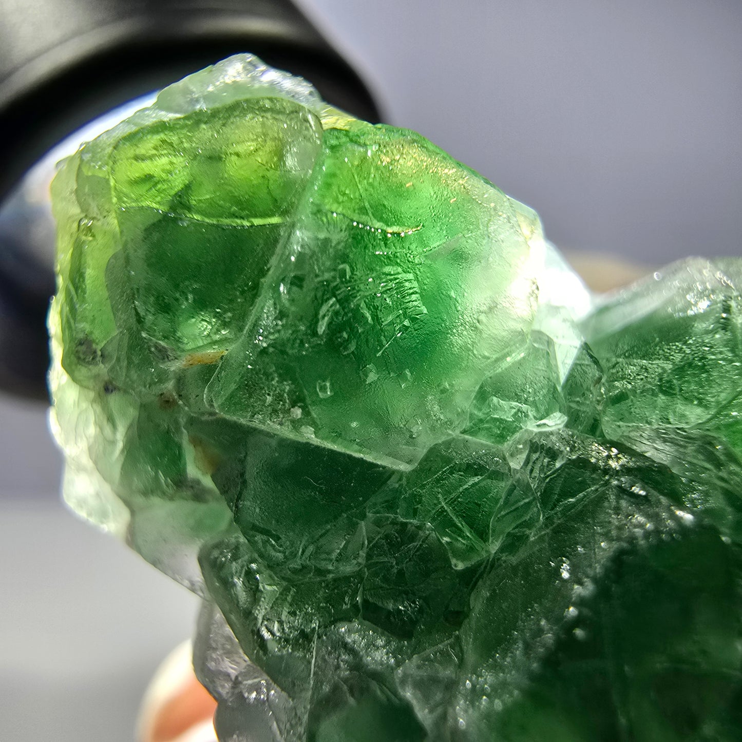 Cube de fluorite fantôme, tourmaline Schorl, Erongo, Namibie, 35 x 23 x 23 mm 