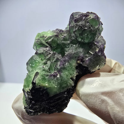 Cube de fluorite fantôme, zonal, muscovite, spécimen de tourmaline Schorl, Erongo, Namibie, 50 x 36 x 36 mm 
