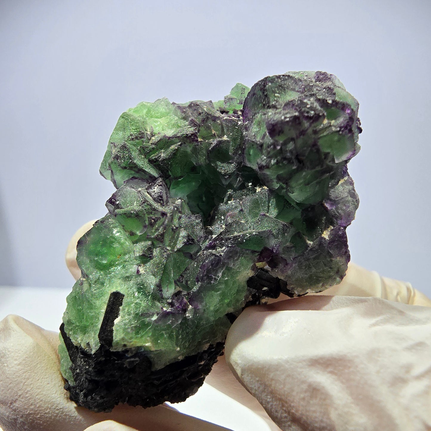 Cube de fluorite fantôme, zonal, muscovite, spécimen de tourmaline Schorl, Erongo, Namibie, 50 x 36 x 36 mm 