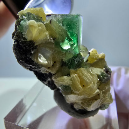 Cube de fluorite fantôme, zonal, muscovite, spécimen de tourmaline Schorl, Erongo, Namibie, 35 x 21 x 20 mm 