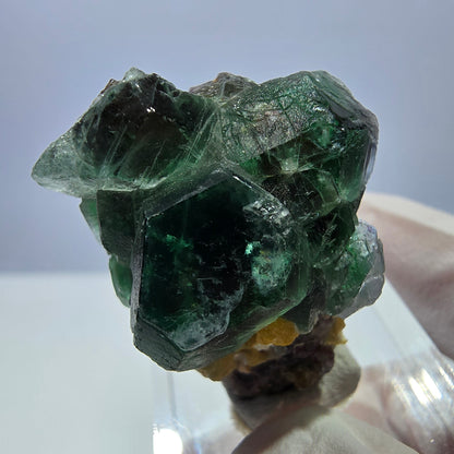 Cube de fluorite fantôme hexagonal, muscovite, tourmaline Schörl Erongo, Namibie 32*26*21mm 