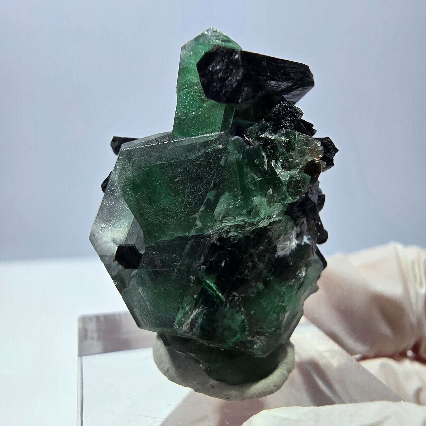 Cube hexagonal de fluorite fantôme, spécimen de tourmaline Schorl, Erongo, Namibie, 30 x 25 x 13 mm 