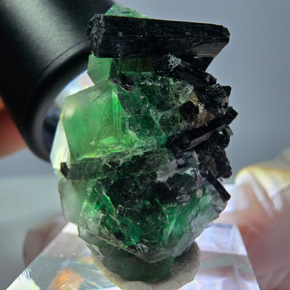 Cube hexagonal de fluorite fantôme, spécimen de tourmaline Schorl, Erongo, Namibie, 30 x 25 x 13 mm 