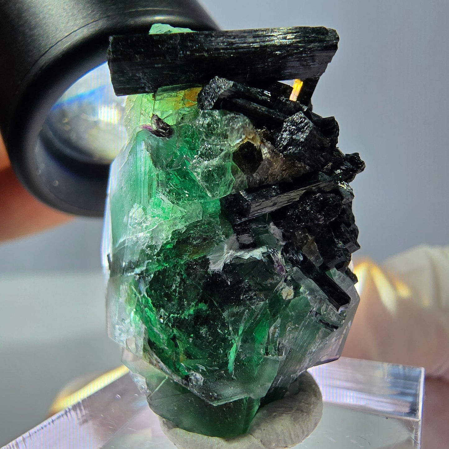 Cube hexagonal de fluorite fantôme, spécimen de tourmaline Schorl, Erongo, Namibie, 30 x 25 x 13 mm 