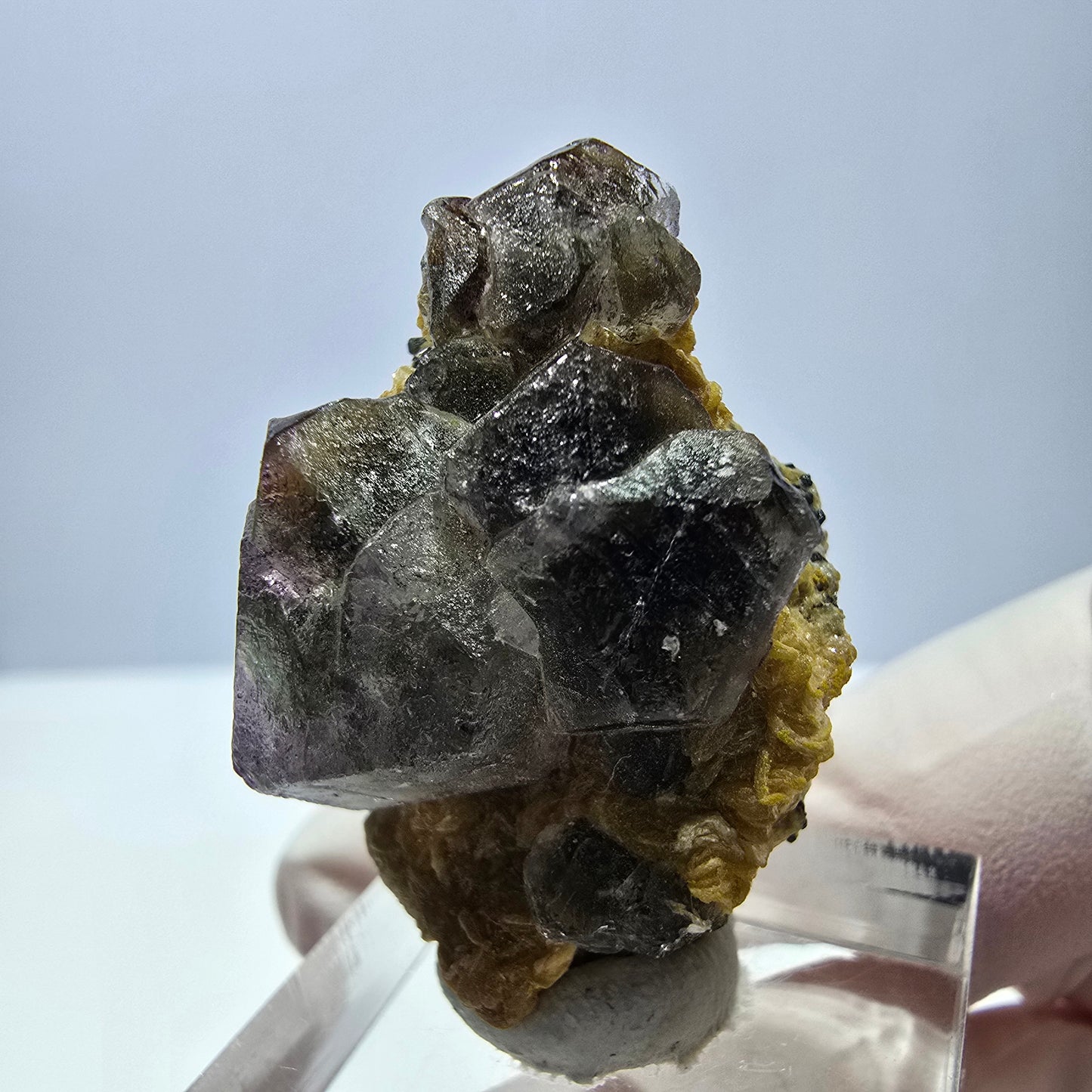 Cube hexagonal de fluorite fantôme, muscovite, tourmaline Schörl, Erongo, Namibie, 36 x 26 x 18 mm 