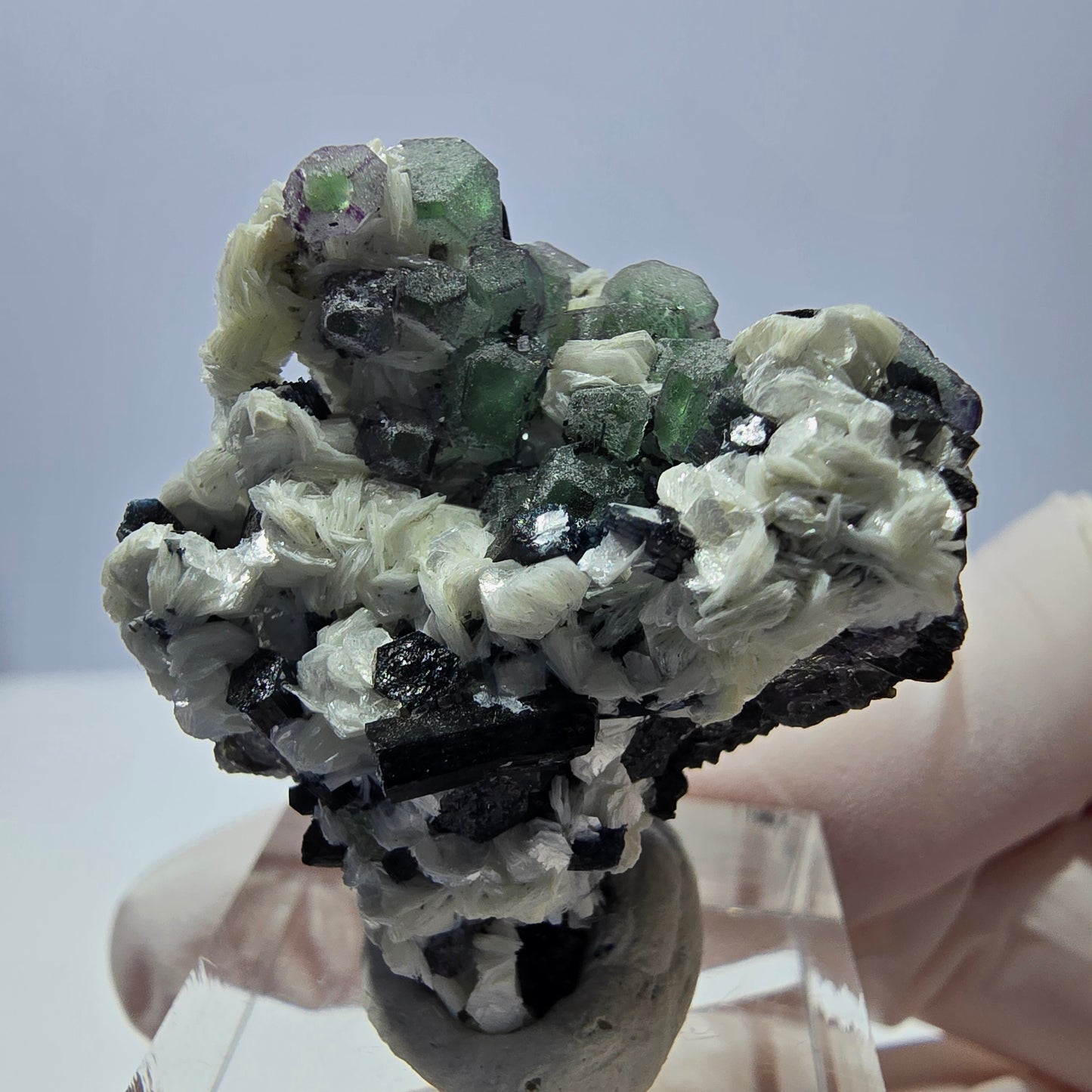 Cube de fluorite fantôme, zonal, muscovite, spécimen de tourmaline Schorl, Erongo, Namibie, 36 x 31 x 22 mm 