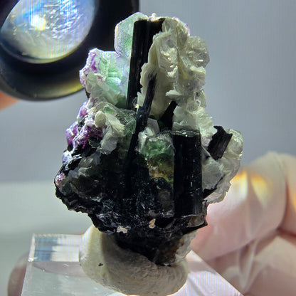 Cube de fluorite fantôme, zonal, muscovite, spécimen de tourmaline Schorl, Erongo, Namibie, 36 x 31 x 22 mm 