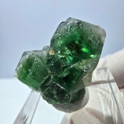 Spécimen de quartz fumé muscovite, cube de fluorite fantôme, Erongo, Namibie, 22 x 18 x 11 mm 