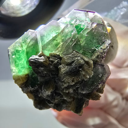 Cube hexagonal de fluorite fantôme, muscovite, tourmaline Schörl, Erongo, Namibie 26 x 24 x 24 mm 