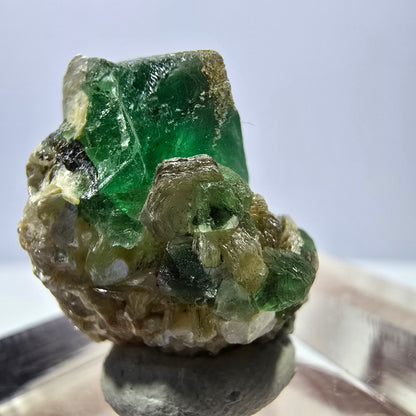 Cube de fluorite fantôme, spécimen de muscovite, Erongo, Namibie, 23 x 17 x 17 mm 