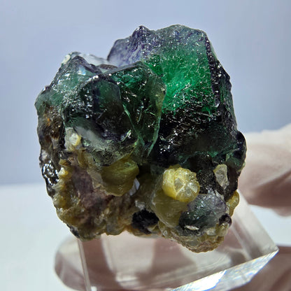 Cube de fluorite fantôme, zonal, spécimen de muscovite, Erongo, Namibie, 33 x 28 x 26 mm 