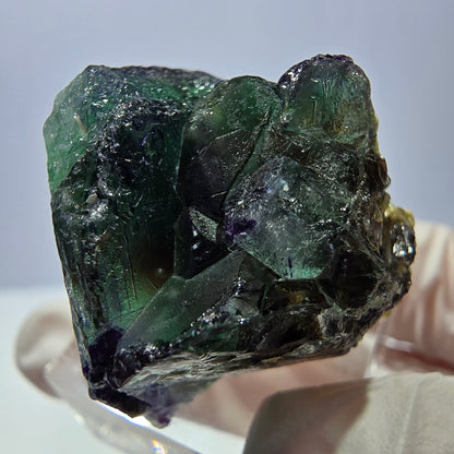 Cube de fluorite fantôme, zonal, spécimen de muscovite, Erongo, Namibie, 33 x 28 x 26 mm 
