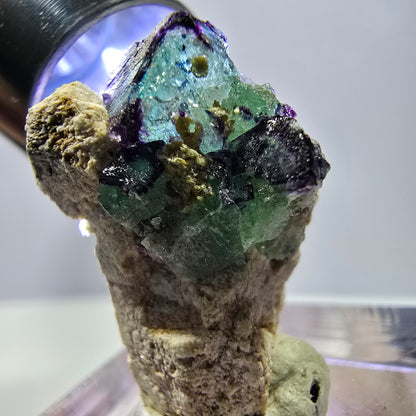 Cube de fluorite fantôme, zonal, spécimen d'orthose, Erongo, Namibie, 24 x 20 x 14 mm 