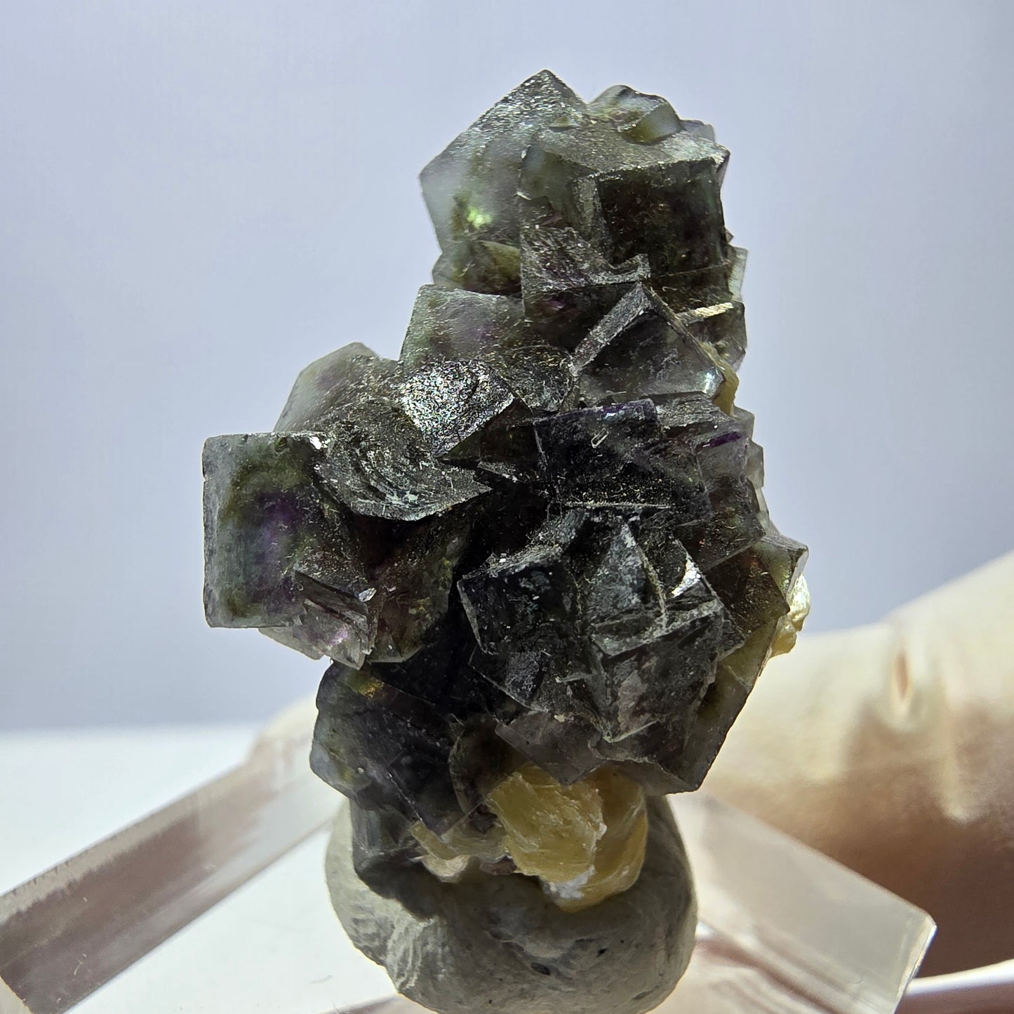 Cubes de fluorite fantôme colorés, spécimen de muscovite, Erongo, Namibie, 33 x 20 x 16 mm 