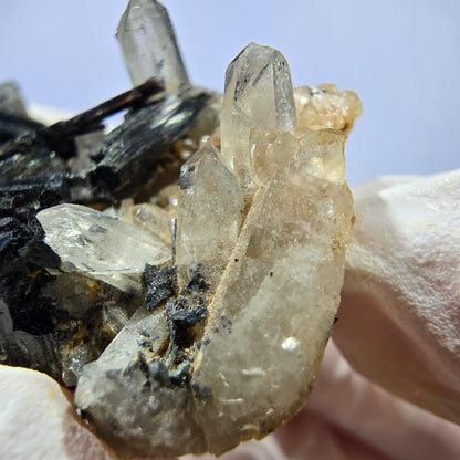 Rare spécimen de tourmaline Schorl et de quartz fumé, Erongo, Namibie, 44 x 24 x 17 mm 