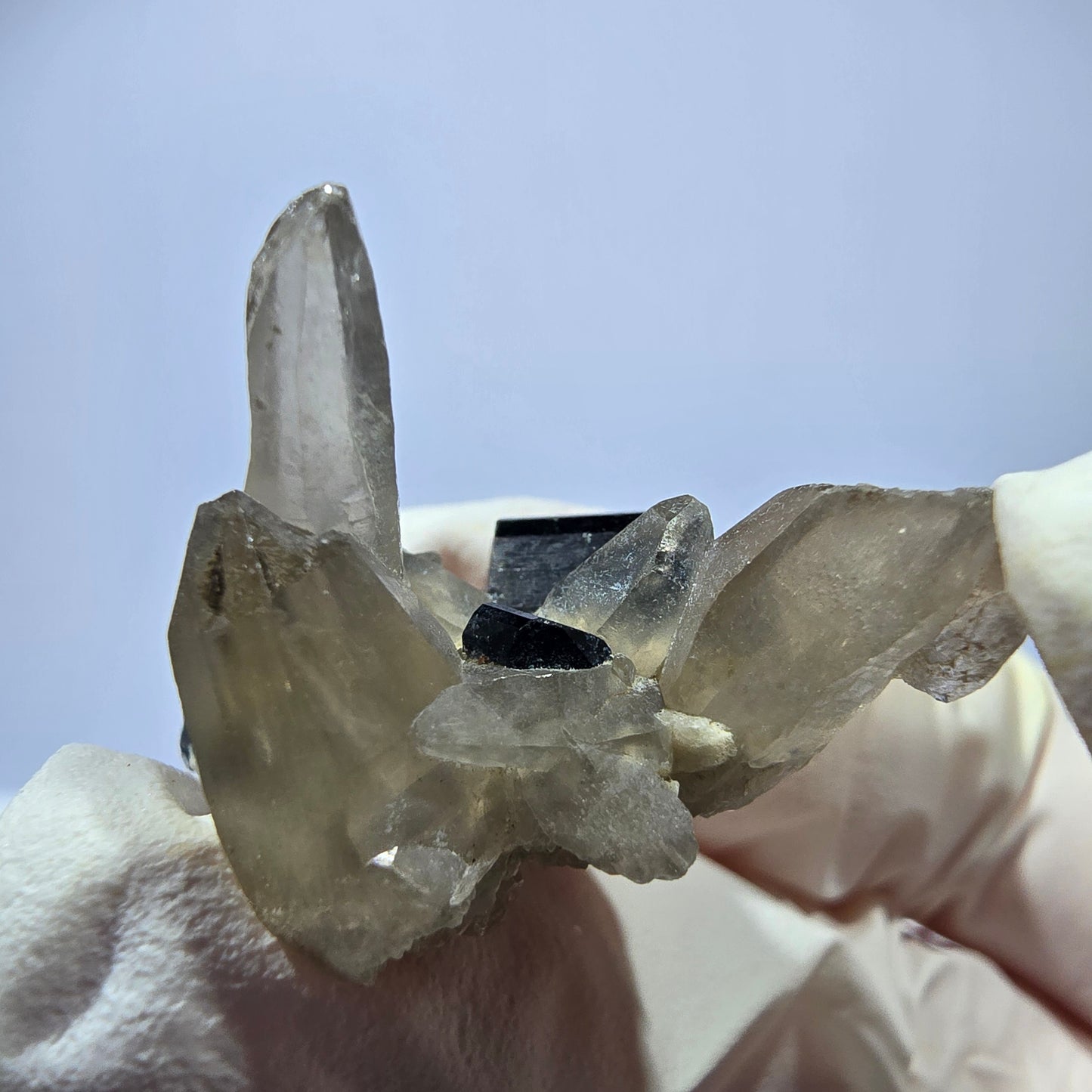 Tourmaline Schorl symétrique, spécimen de quartz fumé, Erongo, Namibie, 33 x 21 x 23 mm 