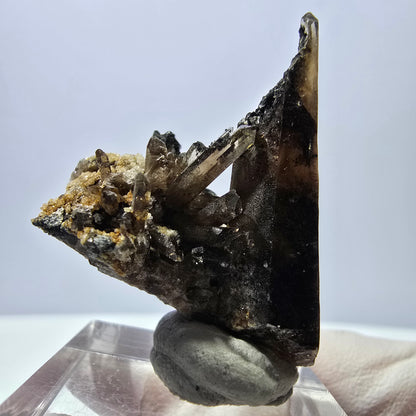 Rare spécimen de tourmaline Schorl et de quartz fumé, Erongo, Namibie, 36 x 27 x 22 mm 
