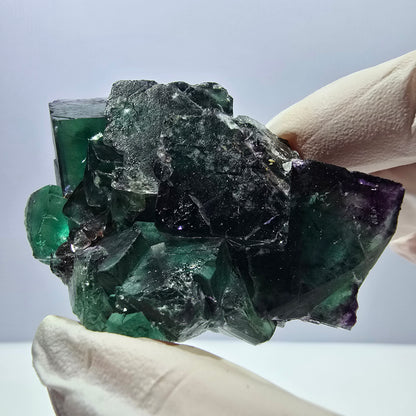 Spécimen de cube de fluorite fantôme, parqueté, vert violet Okorusu, Namibie 62*46*32mm 