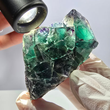 Spécimen de cube de fluorite fantôme, parqueté, vert violet Okorusu, Namibie 62*45*29mm 