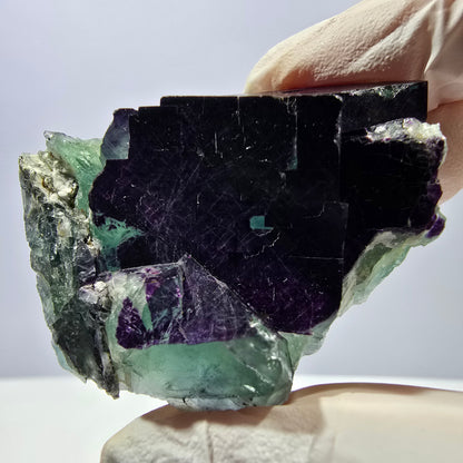 Spécimen de cube de fluorite fantôme vert violet zonal 11:11 Angel Pocket, Namibie 52*46*25mm 