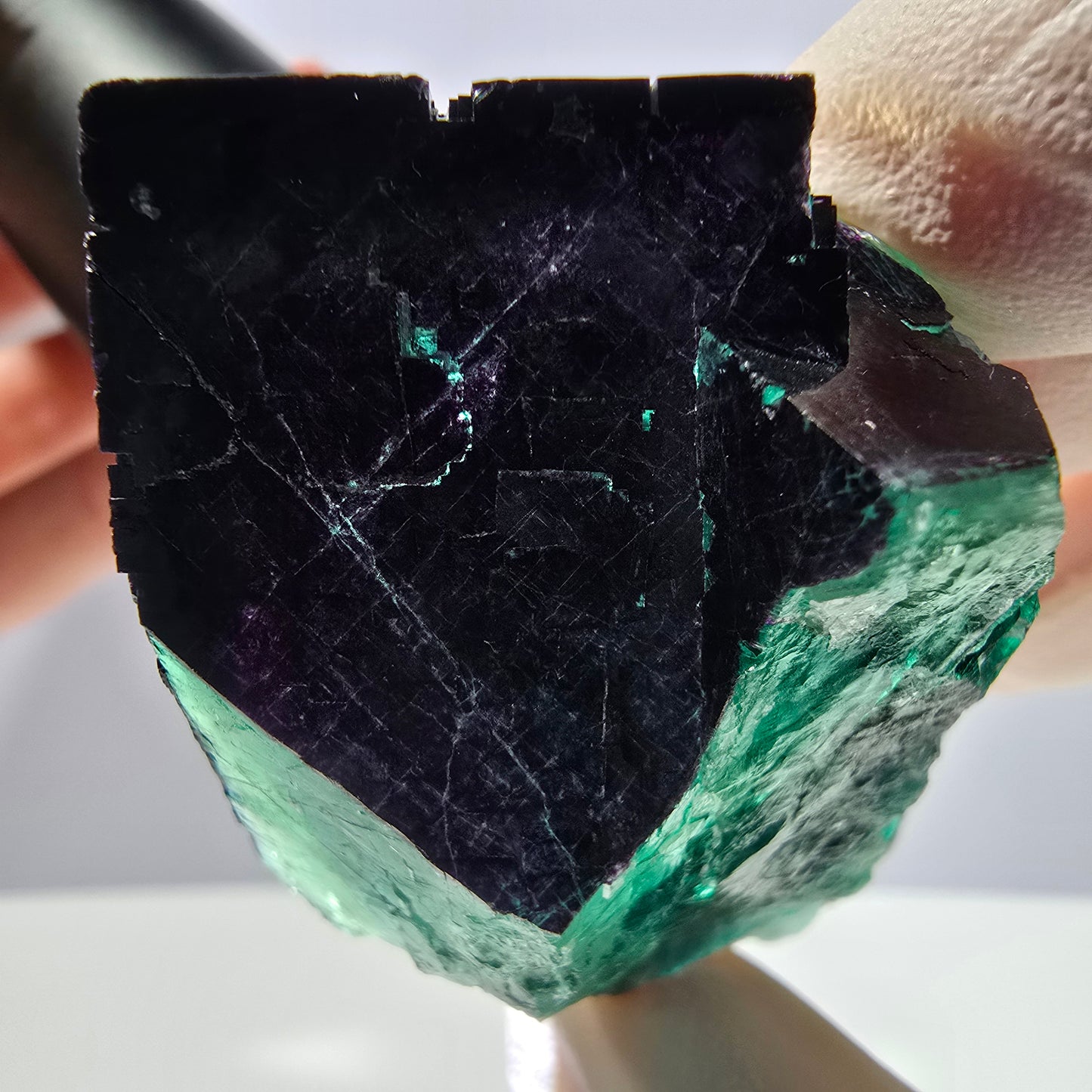 Spécimen de cube de fluorite fantôme vert violet zonal 11:11 Angel Pocket, Namibie 67*53*42mm 