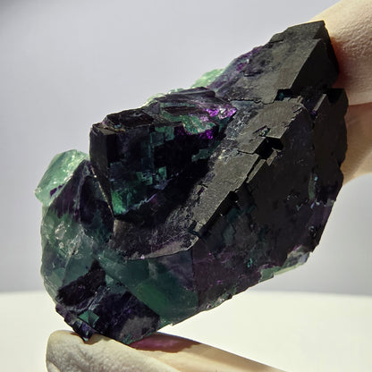 Spécimen de cube de fluorite fantôme vert violet zonal 11:11 Angel Pocket, Namibie 60*39*27mm 