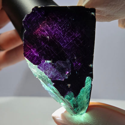 Spécimen de cube de fluorite fantôme vert violet zonal 11:11 Angel Pocket, Namibie 41*33*18mm 