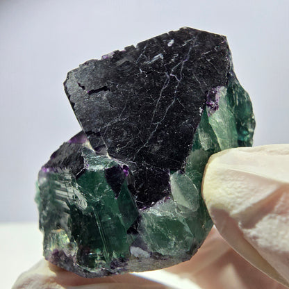 Spécimen de cube de fluorite fantôme vert violet zonal 11:11 Angel Pocket, Namibie 57*48*28mm 