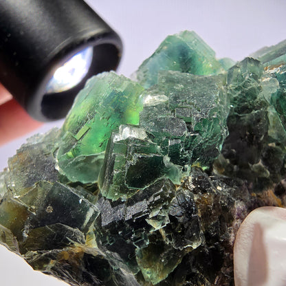 Rare spécimen de cube de fluorite fantôme, parqueté vert Okorusu, Namibie, 61 x 42 x 37 mm 