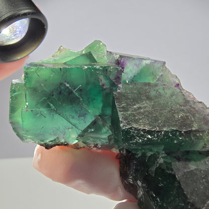 Spécimen de cube de fluorite fantôme parqueté vert violet Okorusu, Namibie 66*42*22mm 