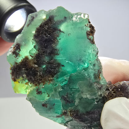 Spécimen de cube de fluorite fantôme parqueté vert violet Okorusu, Namibie 66*42*22mm 