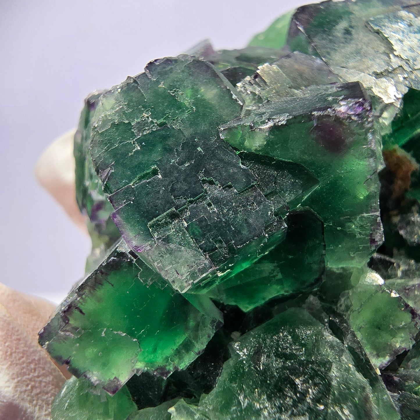 Spécimen de cube de fluorite fantôme, parqueté, zonal Okorusu, Namibie 70*45*26mm 
