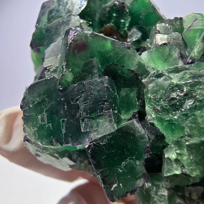 Spécimen de cube de fluorite fantôme, parqueté, zonal Okorusu, Namibie 70*45*26mm 