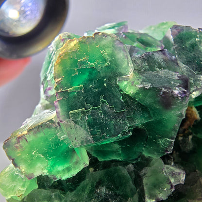 Spécimen de cube de fluorite fantôme, parqueté, zonal Okorusu, Namibie 70*45*26mm 