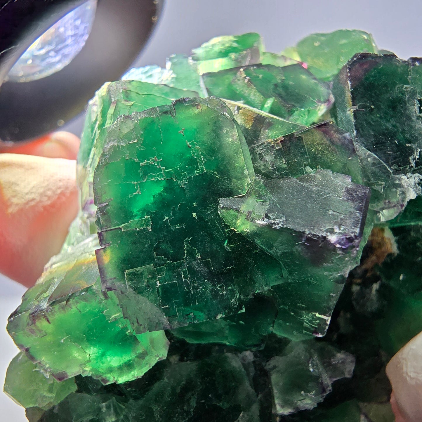 Spécimen de cube de fluorite fantôme, parqueté, zonal Okorusu, Namibie 70*45*26mm 