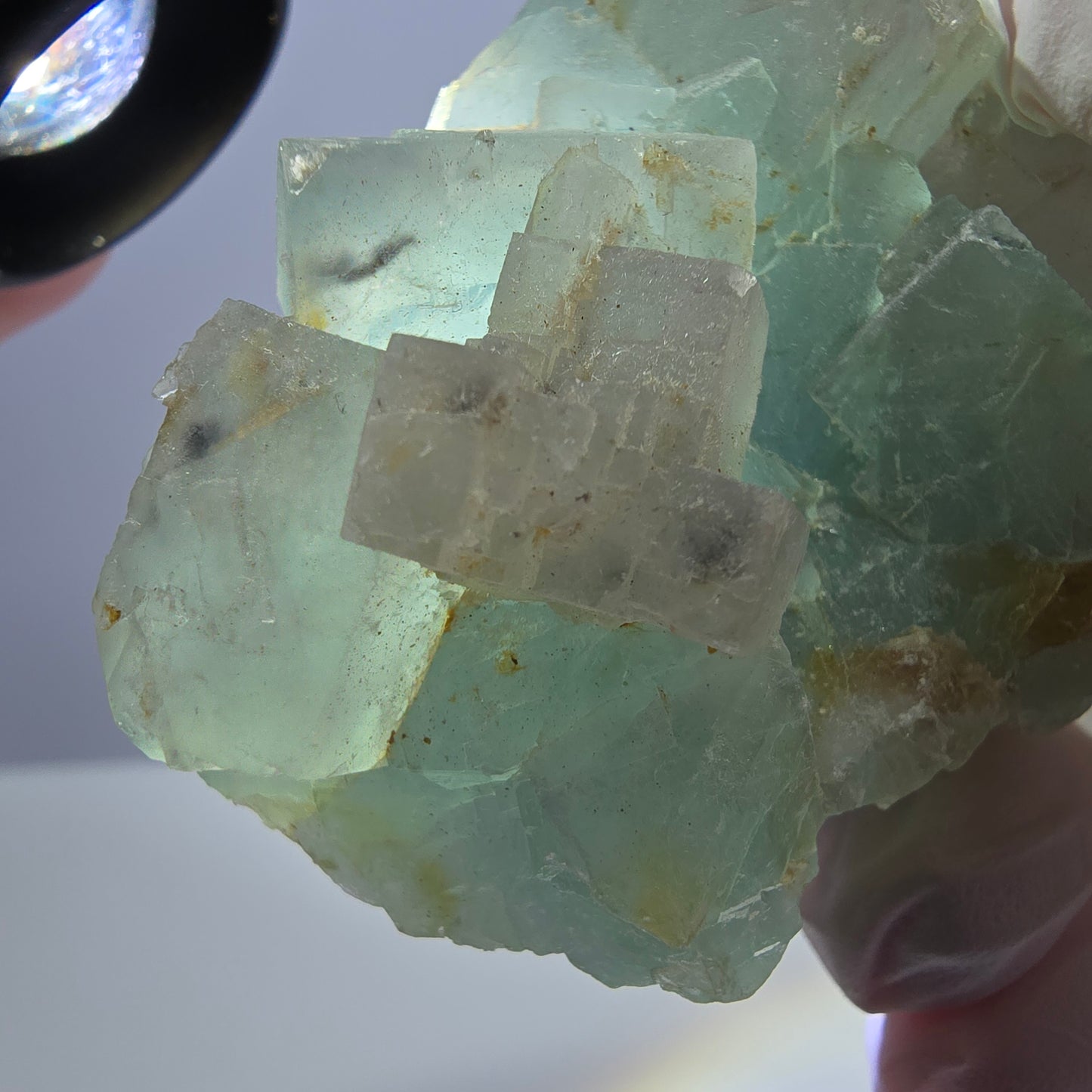 Rare spécimen de cube de fluorite fantôme, vert et blanc, Okorusu, Namibie, 61 x 51 x 34 mm 