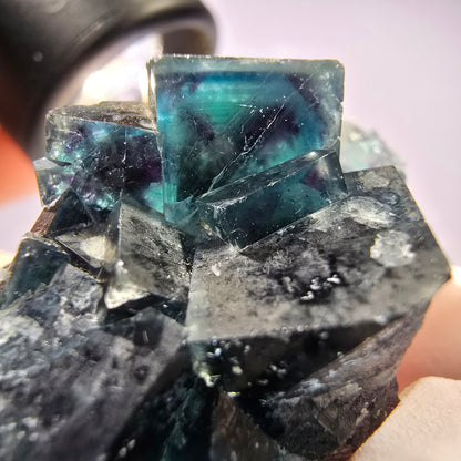 Rare spécimen de cube de fluorite fantôme, vert-violet, Okorusu, Namibie, 45 x 33 x 21 mm 