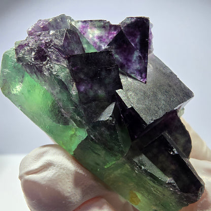 Spécimen de cube de fluorite fantôme parqueté vert violet Okorusu, Namibie 48*26*26mm 