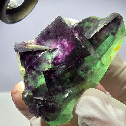 Spécimen de cube de fluorite fantôme parqueté vert violet Okorusu, Namibie 48*26*26mm 