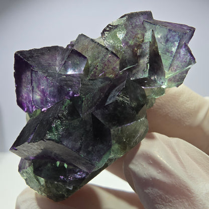 Spécimen de cube de fluorite fantôme, parqueté, zonal Okorusu, Namibie 51 x 30 x 24 mm 
