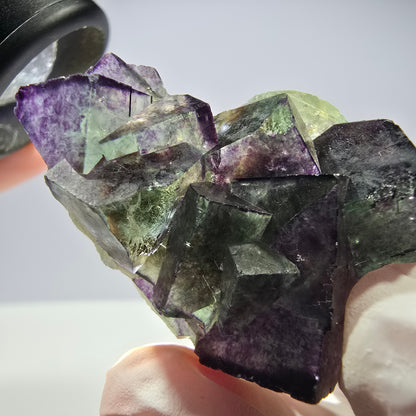 Spécimen de cube de fluorite fantôme, parqueté, zonal Okorusu, Namibie 51 x 30 x 24 mm 