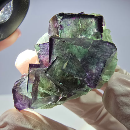 Spécimen de cube de fluorite fantôme, parqueté, zonal Okorusu, Namibie 51 x 30 x 24 mm 