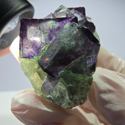 Spécimen de cube de fluorite fantôme, parqueté, zonal Okorusu, Namibie 51 x 30 x 24 mm 