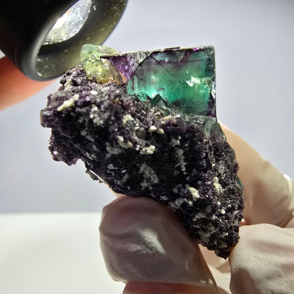 Spécimen de cube de fluorite fantôme parqueté vert violet Okorusu, Namibie 41*34*26mm 