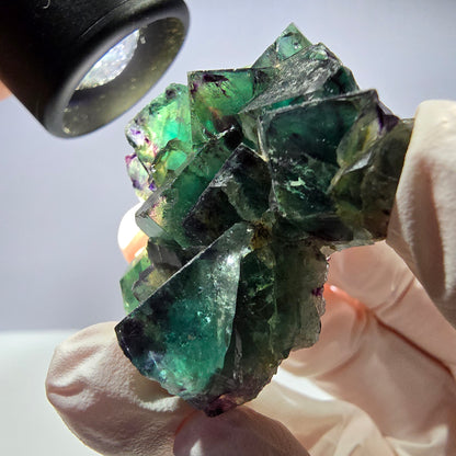 Spécimen de cube de fluorite fantôme parqueté vert violet Okorusu, Namibie 42*33*14 mm 