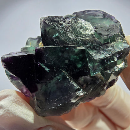 Spécimen de cube de fluorite fantôme parqueté vert violet Okorusu, Namibie 41*30*18mm 