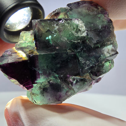 Spécimen de cube de fluorite fantôme parqueté vert violet Okorusu, Namibie 41*30*18mm 