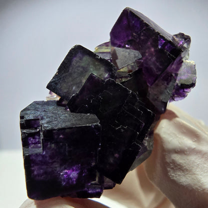 Spécimen de cube de fluorite fantôme parqueté vert violet Okorusu, Namibie 40*26*21mm 
